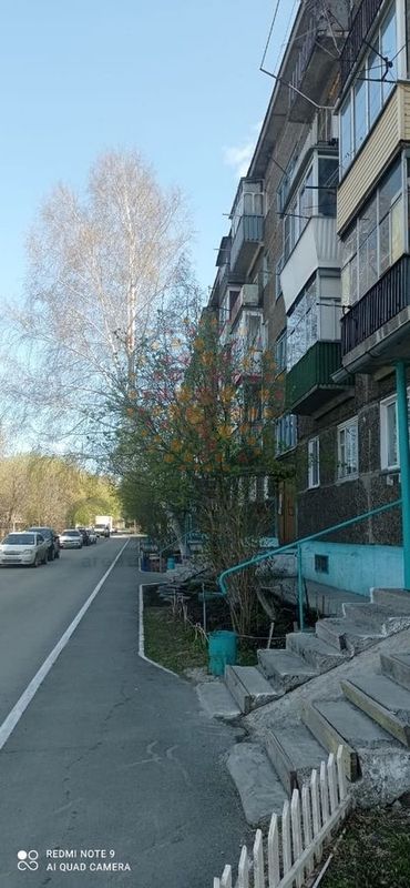село Барышево, Черняховского, 37, 3-к квартира